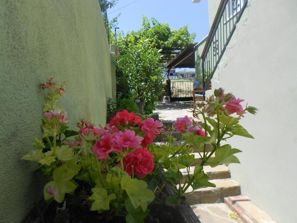 Irmak Family Pension & Apartments Ечеабат Стая снимка